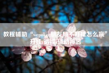 教程辅助“wepoker朋友局不开挂怎么赢”开挂(透视)辅助神器