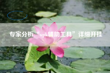专家分析“wpk辅助工具”详细开挂