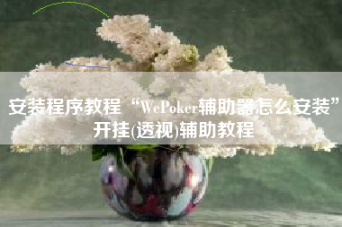 安装程序教程“WePoker辅助器怎么安装”开挂(透视)辅助教程
