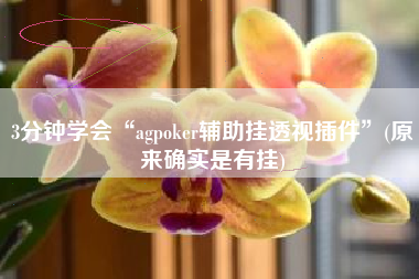 3分钟学会“agpoker辅助挂透视插件	”(原来确实是有挂)