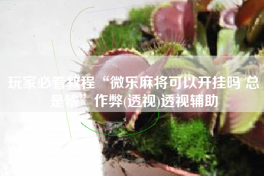 玩家必看教程“微乐麻将可以开挂吗 总是输	”作弊(透视)透视辅助