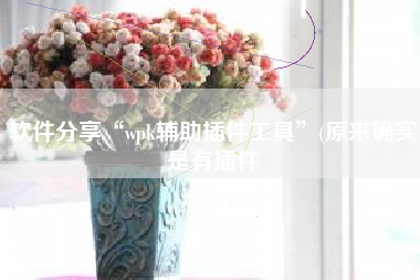 软件分享“wpk辅助插件工具”(原来确实是有插件
