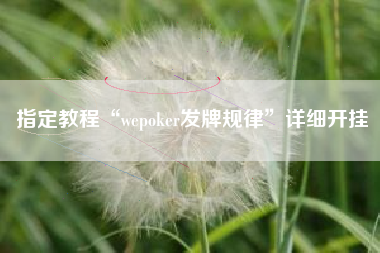 指定教程“wepoker发牌规律”详细开挂
