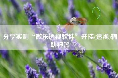 分享实测“微乐透视软件	”开挂(透视)辅助神器