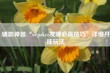 辅助神器“wepoker发牌必赢技巧	”详细开挂玩法
