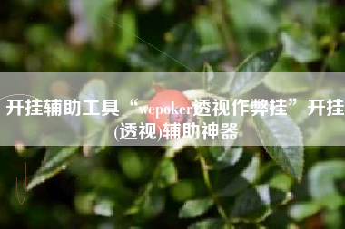 开挂辅助工具“wepoker透视作弊挂	”开挂(透视)辅助神器