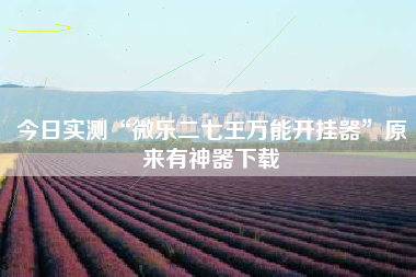 今日实测“微乐二七王万能开挂器”原来有神器下载