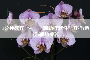 3分钟教程“wepoker辅助挂软件”开挂(透视)辅助神器