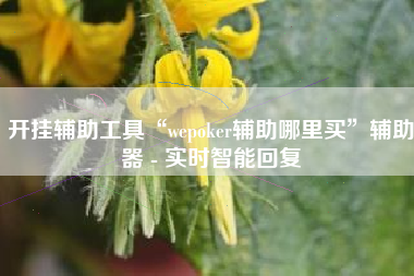 开挂辅助工具“wepoker辅助哪里买”辅助器 - 实时智能回复