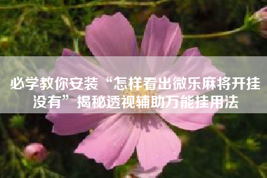 必学教你安装“怎样看出微乐麻将开挂没有”揭秘透视辅助万能挂用法