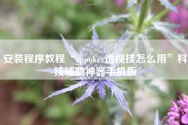安装程序教程“appoker透视挂怎么用”科技辅助神器手机版