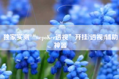 独家实测“wepoKer透视”开挂(透视)辅助神器