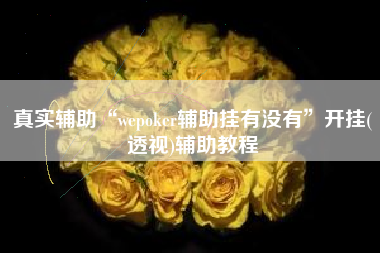 真实辅助“wepoker辅助挂有没有	”开挂(透视)辅助教程