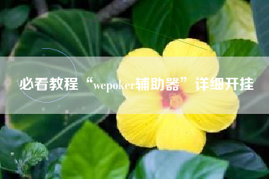 必看教程“wepoker辅助器”详细开挂