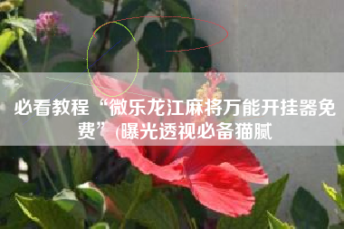 必看教程“微乐龙江麻将万能开挂器免费	”(曝光透视必备猫腻