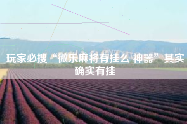 玩家必搜“微乐麻将有挂么 神器	”其实确实有挂