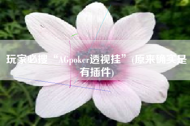 玩家必搜“AGpoker透视挂	”(原来确实是有插件)