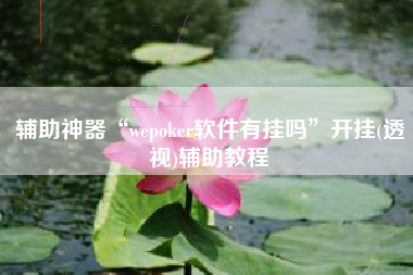 辅助神器“wepoker软件有挂吗”开挂(透视)辅助教程