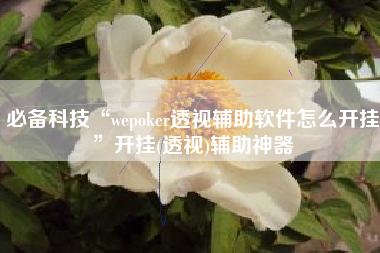 必备科技“wepoker透视辅助软件怎么开挂	”开挂(透视)辅助神器