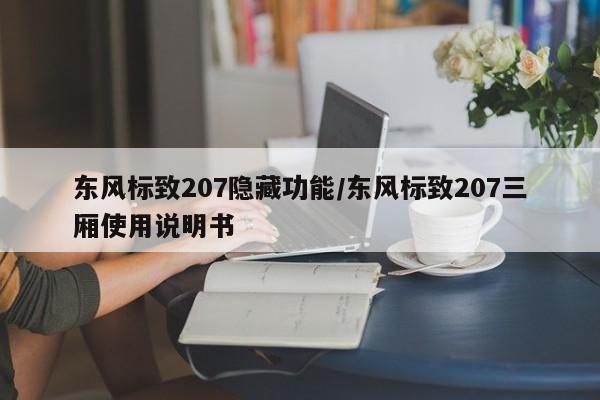 东风标致207隐藏功能/东风标致207三厢使用说明书