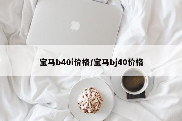 宝马b40i价格/宝马bj40价格