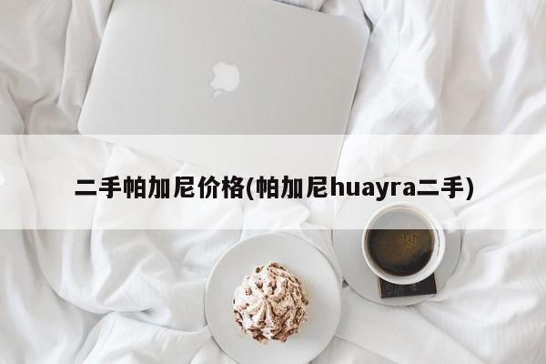 二手帕加尼价格(帕加尼huayra二手)