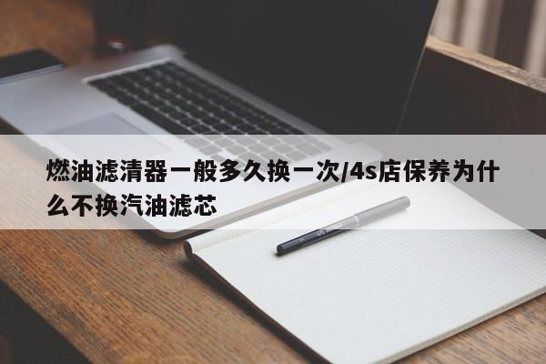燃油滤清器一般多久换一次/4s店保养为什么不换汽油滤芯